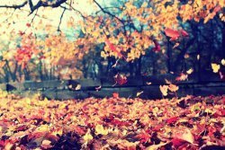 "Wonderful autumn"